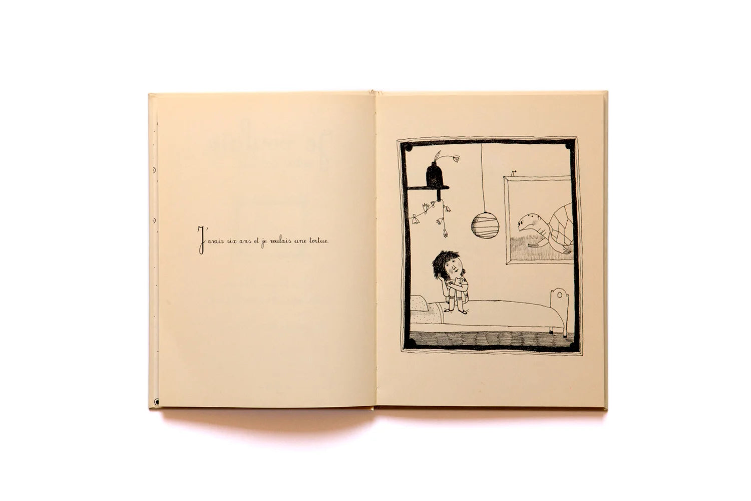 Je voulais une tortue