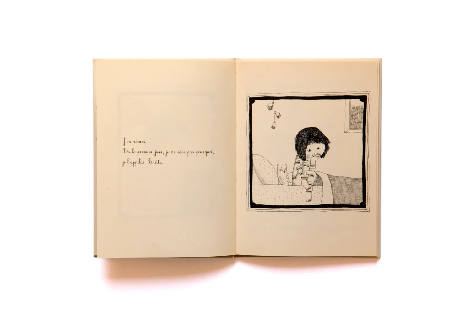 Je voulais une tortue